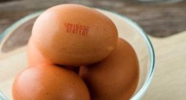 Yumurta Sevenlere Kö-tü Haber 
