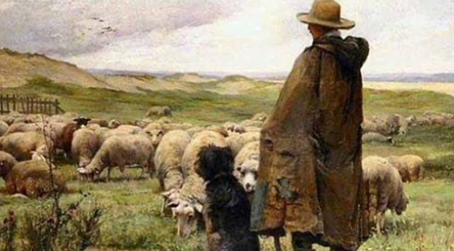 Çobandan okkali cevap