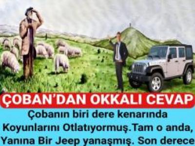 Çobandan okkali cevap